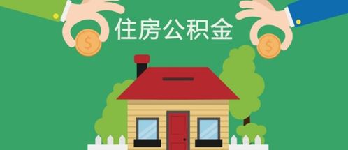 房产属性和类别怎么填