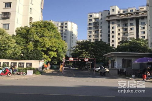 嘉定金桥房产怎么样