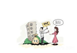房产共有人怎么加
