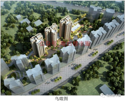 电白房产名称怎么查看