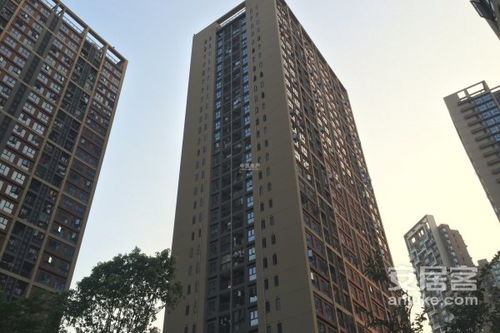 万科房产中介怎么样