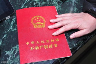 我的房产怎么看房产证