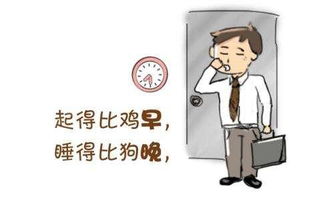 拍卖房产中介怎么做业务