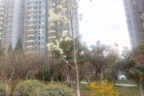 延城房产中介怎么样