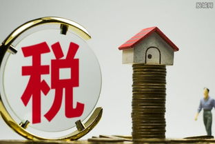 自家的房产怎么交房产税