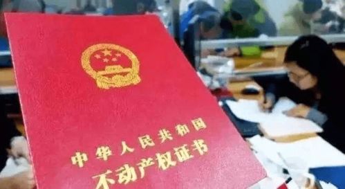 房产证丢了一本怎么办