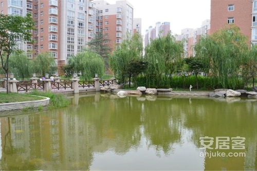 合肥新泽房产怎么样