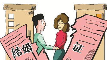 怎么拆分房产份额