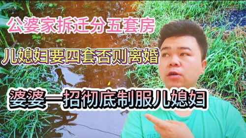 公婆的房产怎么给儿子分