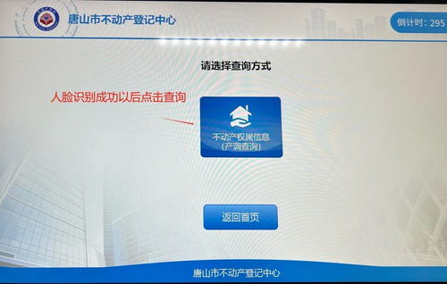 怎么查名下国外房产