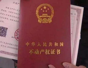 怎么查名下国外房产