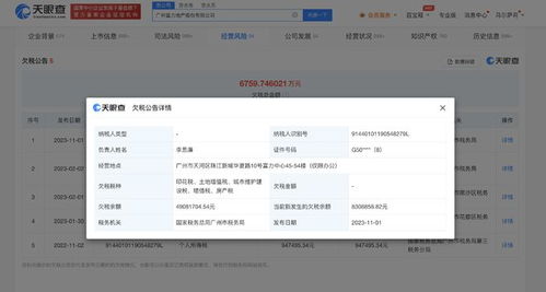房产欠税怎么查询余额