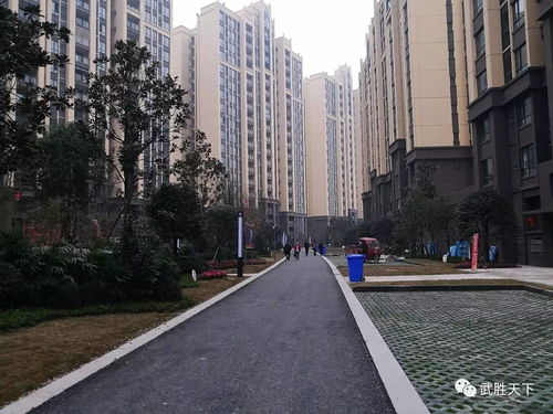 广安房产怎么查