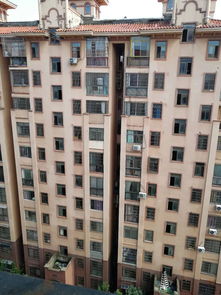 中环房产中介怎么样