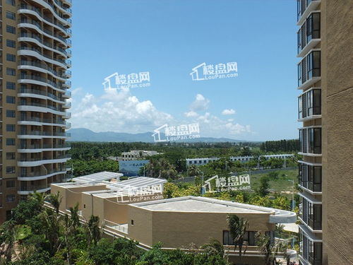 乐东房产怎么