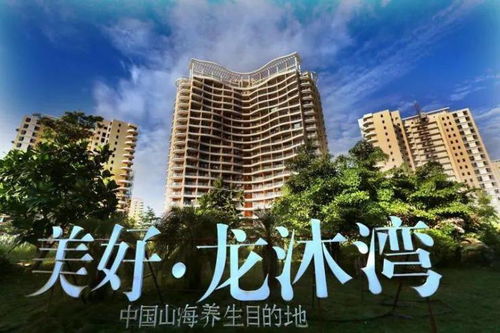 乐东房产怎么