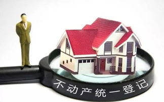法院怎么查房产