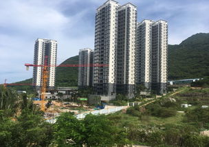 法院怎么查房产