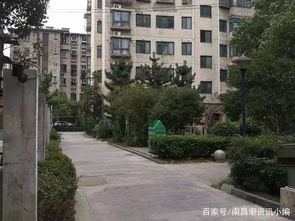 洪都没房产怎么入学