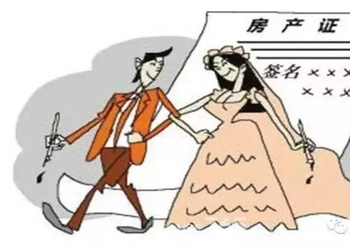 共同还贷的房产怎么赠予