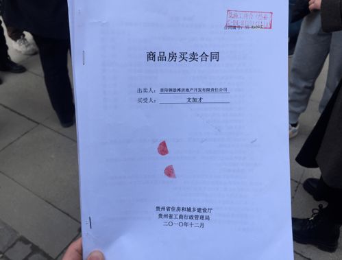 买了房产证怎么查询