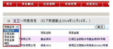 在政务网怎么查询房产